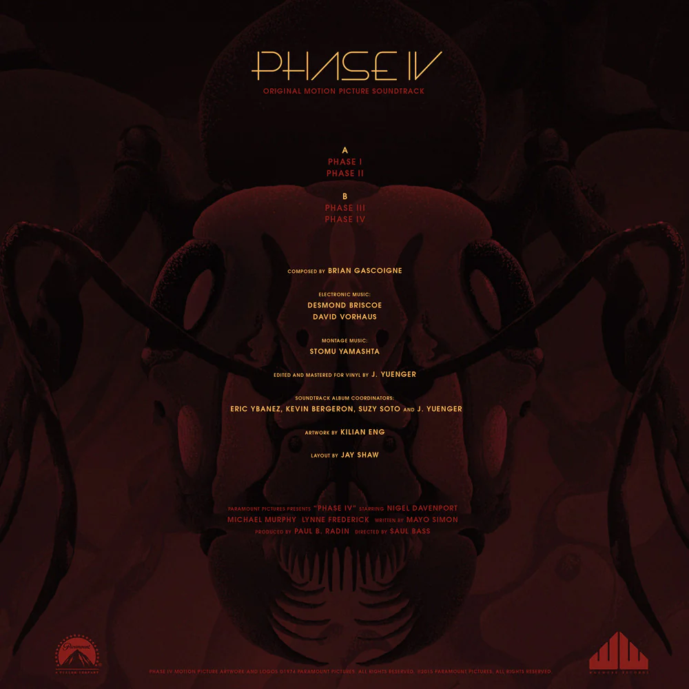 Phase IV - Image 5